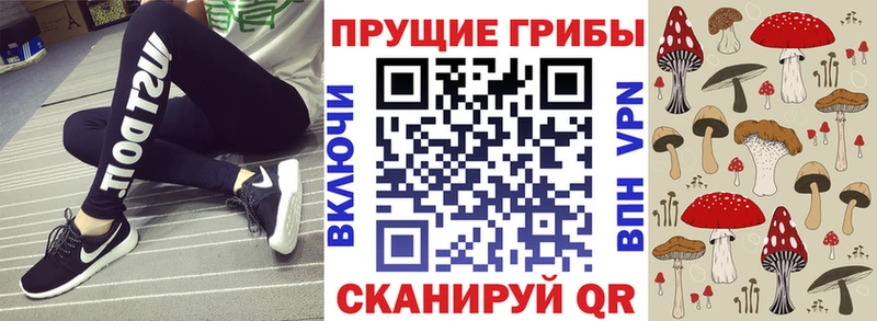 Псилоцибиновые грибы Psilocybine cubensis  Купить где  Кореновск 